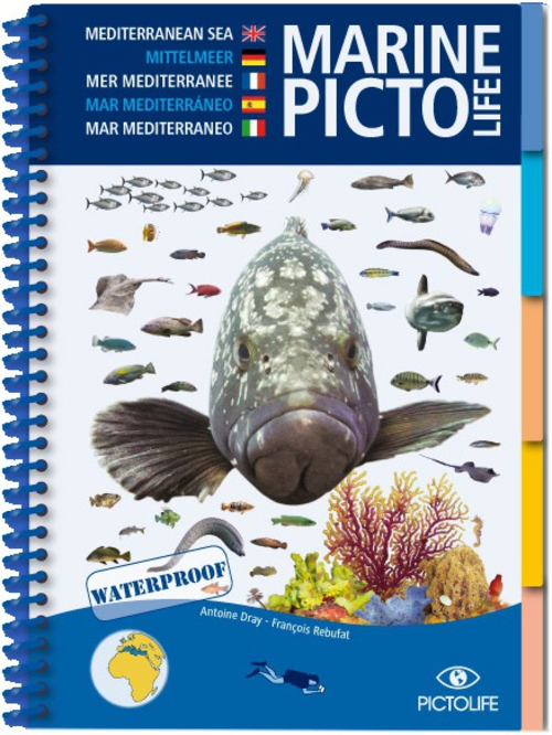 Pictolife Mittelmeer Marine