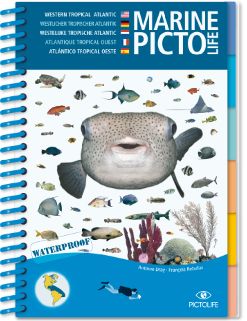 Pictolife Tropische Atlantische Marine