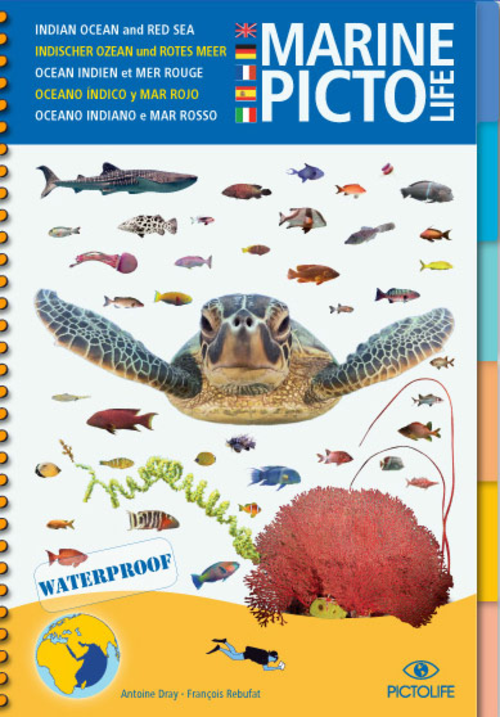 Pictolife Indischer Ozean und Rotes Meer Marine